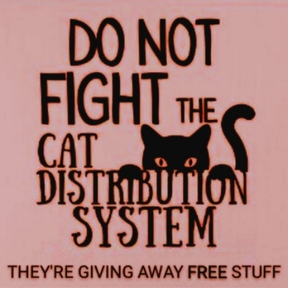 šā⬠= Give It Away Meow! Hurry B4 I Donate Them. I Want Them Outta Here. - Picture 2 of 5